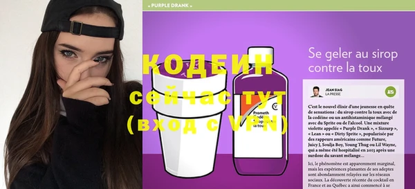 хмурый Нея