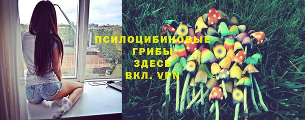 хмурый Нея