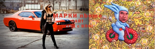 хмурый Нея