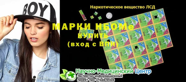 хмурый Нея