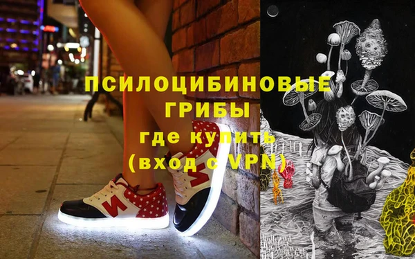 хмурый Нея