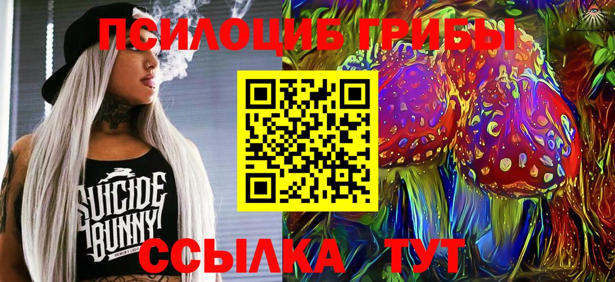 Ейск  Псилоцибиновые грибы мухоморы  Галлюциногенные грибы MAGIC MUSHROOMS  Вход с VPN 